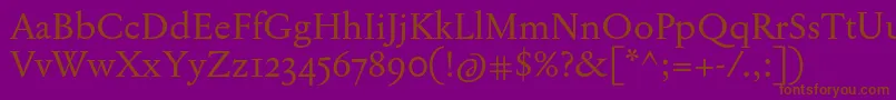 JannonTModerneOt Font – Brown Fonts on Purple Background