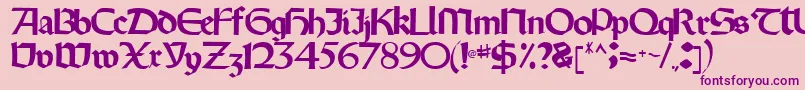 Oldystyletype102Regular Font – Purple Fonts on Pink Background