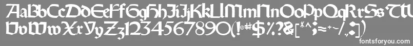 フォントOldystyletype102Regular – 灰色の背景に白い文字