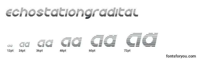Echostationgradital Font Sizes