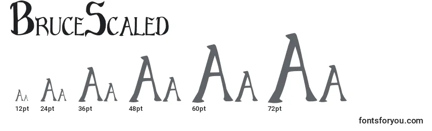 BruceScaled (36882) Font Sizes