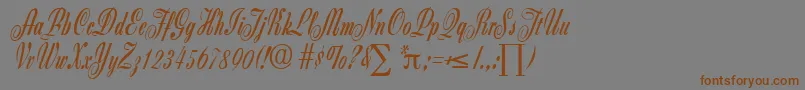 ZanzibarDb Font – Brown Fonts on Gray Background