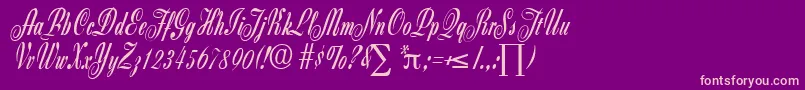 ZanzibarDb Font – Pink Fonts on Purple Background