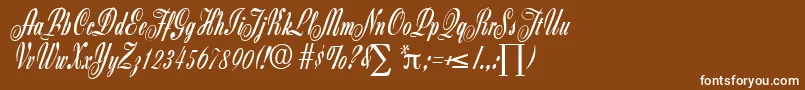 フォントZanzibarDb – 茶色の背景に白い文字