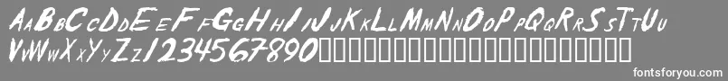 TheShakerCaps Font – White Fonts on Gray Background