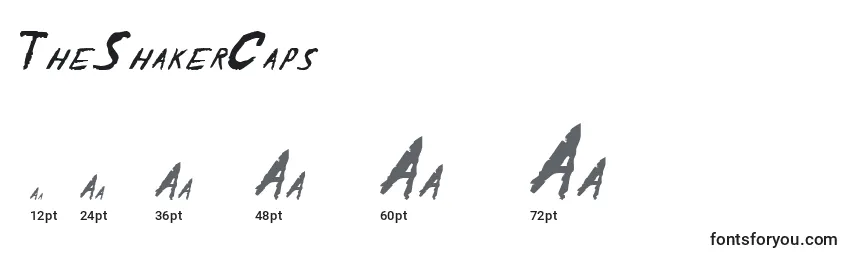 Размеры шрифта TheShakerCaps