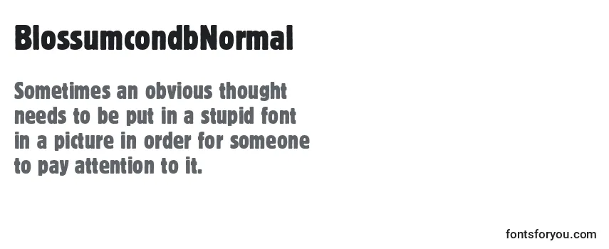 Review of the BlossumcondbNormal Font