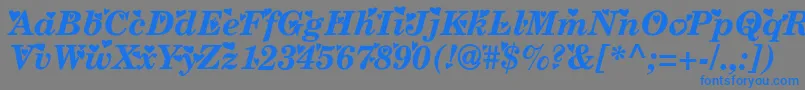 フォントTimes ffy – 灰色の背景に青い文字