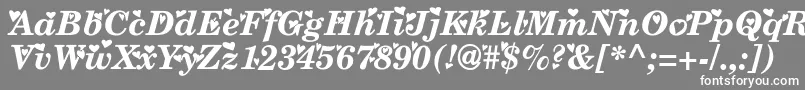 フォントTimes ffy – 灰色の背景に白い文字