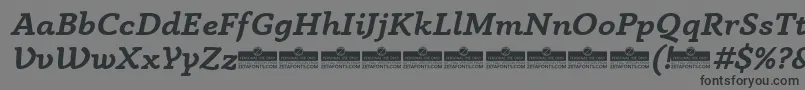 AnaphoraBoldItalicTrial-Schriftart – Schwarze Schriften auf grauem Hintergrund