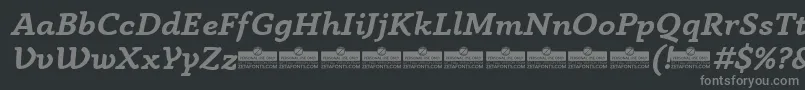 AnaphoraBoldItalicTrial Font – Gray Fonts on Black Background