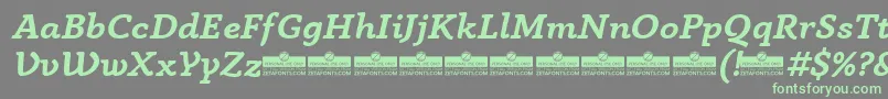 AnaphoraBoldItalicTrial Font – Green Fonts on Gray Background