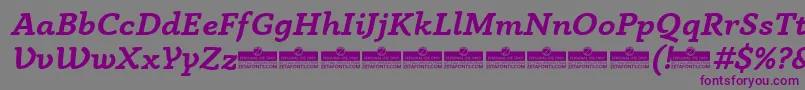 AnaphoraBoldItalicTrial Font – Purple Fonts on Gray Background