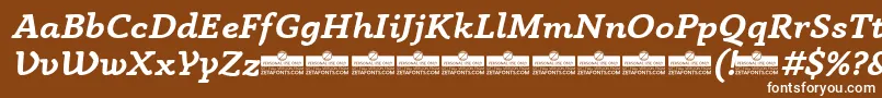 AnaphoraBoldItalicTrial Font – White Fonts on Brown Background