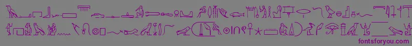 PharoahGlyphMedium-Schriftart – Violette Schriften auf grauem Hintergrund