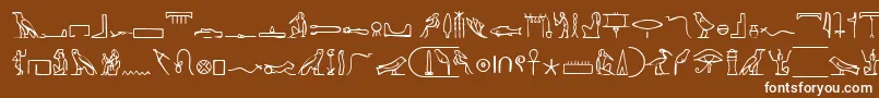 PharoahGlyphMedium-Schriftart – Weiße Schriften auf braunem Hintergrund