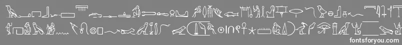 フォントPharoahGlyphMedium – 灰色の背景に白い文字