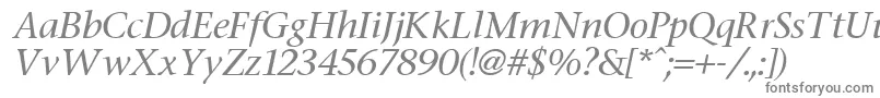 フォントStoneItalic – 白い背景に灰色の文字