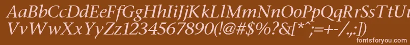 StoneItalic Font – Pink Fonts on Brown Background