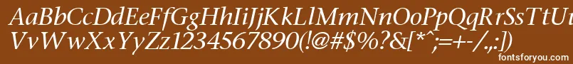 フォントStoneItalic – 茶色の背景に白い文字