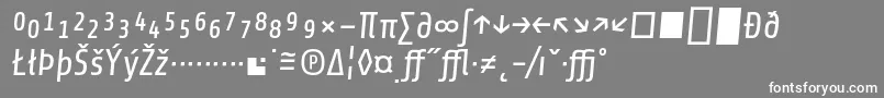 フォントShareItalicexp – 灰色の背景に白い文字