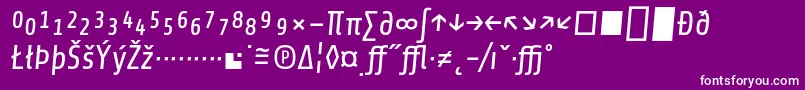 フォントShareItalicexp – 紫の背景に白い文字