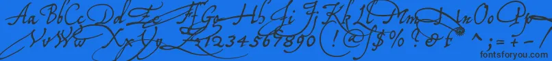 Tychoelu Font – Black Fonts on Blue Background