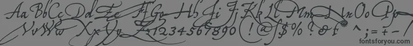 Tychoelu-Schriftart – Schwarze Schriften auf grauem Hintergrund