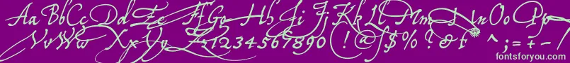 Tychoelu Font – Green Fonts on Purple Background