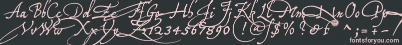 Tychoelu Font – Pink Fonts on Black Background