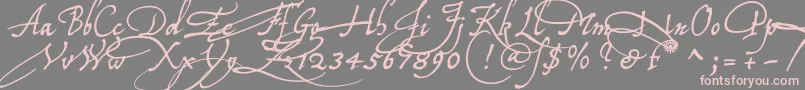 Tychoelu-Schriftart – Rosa Schriften auf grauem Hintergrund