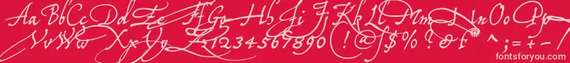 Tychoelu Font – Pink Fonts on Red Background