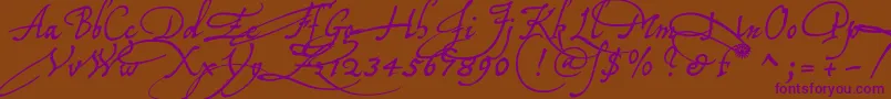 Tychoelu Font – Purple Fonts on Brown Background