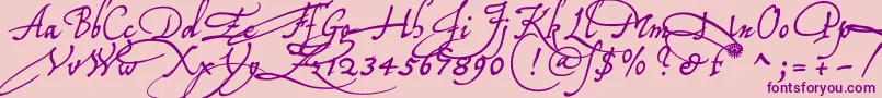 Tychoelu Font – Purple Fonts on Pink Background