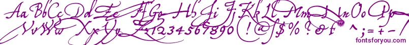 Tychoelu Font – Purple Fonts