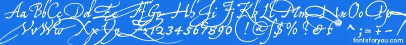 Tychoelu-Schriftart – Weiße Schriften auf blauem Hintergrund