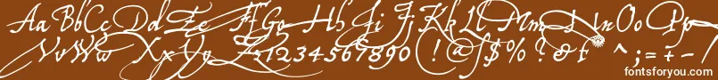 Tychoelu Font – White Fonts on Brown Background