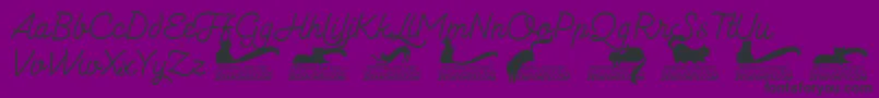 Czcionka Kittenmonolinetrial – czarne czcionki na fioletowym tle