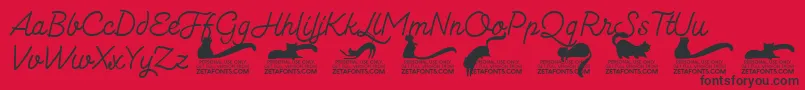Kittenmonolinetrial Font – Black Fonts on Red Background