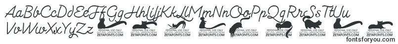 Kittenmonolinetrial Font – Fonts for fairy tales