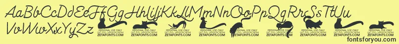 Kittenmonolinetrial Font – Black Fonts on Yellow Background