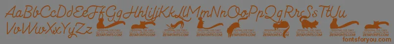 Kittenmonolinetrial-Schriftart – Braune Schriften auf grauem Hintergrund