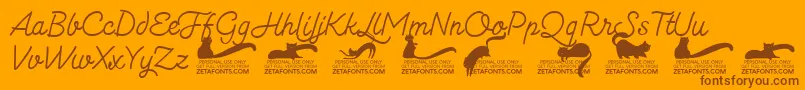 フォントKittenmonolinetrial – オレンジの背景に茶色のフォント
