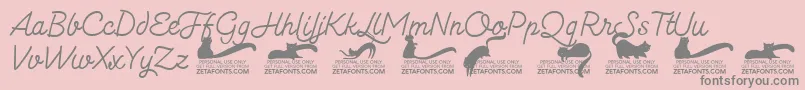 Kittenmonolinetrial Font – Gray Fonts on Pink Background