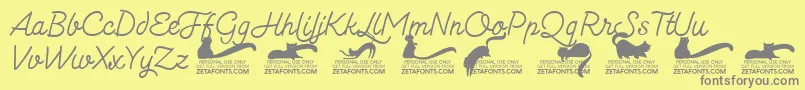 Kittenmonolinetrial Font – Gray Fonts on Yellow Background