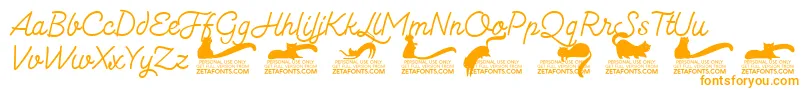 Kittenmonolinetrial Font – Orange Fonts