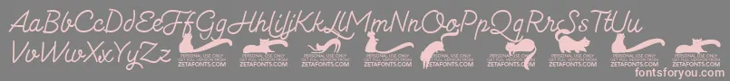 Kittenmonolinetrial Font – Pink Fonts on Gray Background