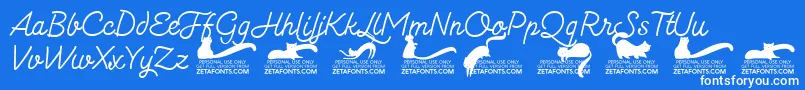 Kittenmonolinetrial Font – White Fonts on Blue Background