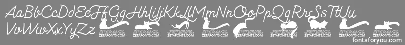 Kittenmonolinetrial Font – White Fonts on Gray Background