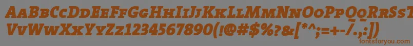 フォントTheserifblackCapsitalic – 茶色の文字が灰色の背景にあります。